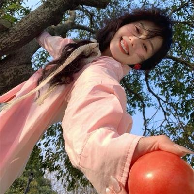 鲨与鲸