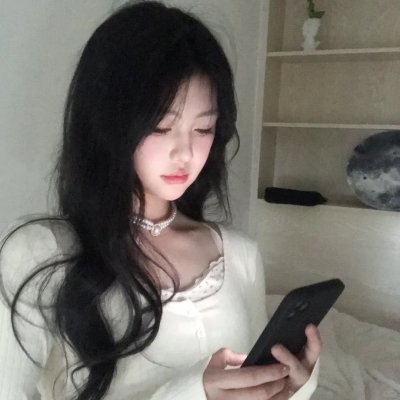 黎明的飞鸟