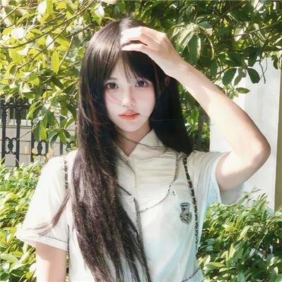 黑鸟